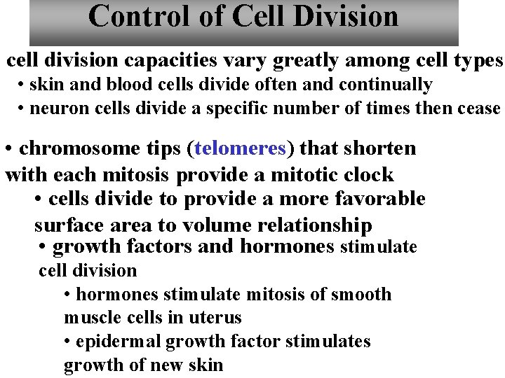 Control of Cell Division • cell division capacities vary greatly among cell types •