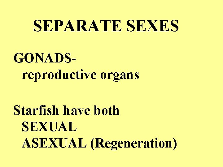 SEPARATE SEXES GONADSreproductive organs Starfish have both SEXUAL ASEXUAL (Regeneration) 