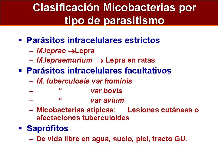 Clasificación Micobacterias por tipo de parasitismo § Parásitos intracelulares estrictos – M. leprae Lepra