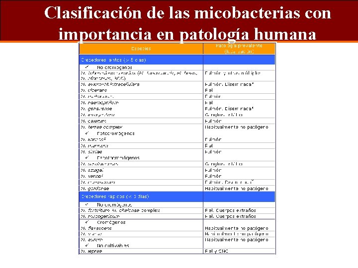 Clasificación de las micobacterias con importancia en patología humana 
