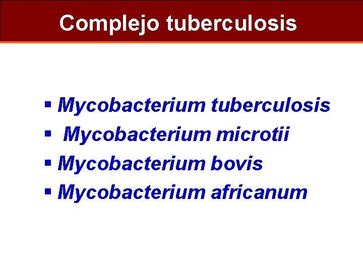 Complejo tuberculosis § Mycobacterium microtii § Mycobacterium bovis § Mycobacterium africanum 