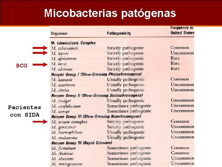 Micobacterias patógenas BCG Pacientes con SIDA 