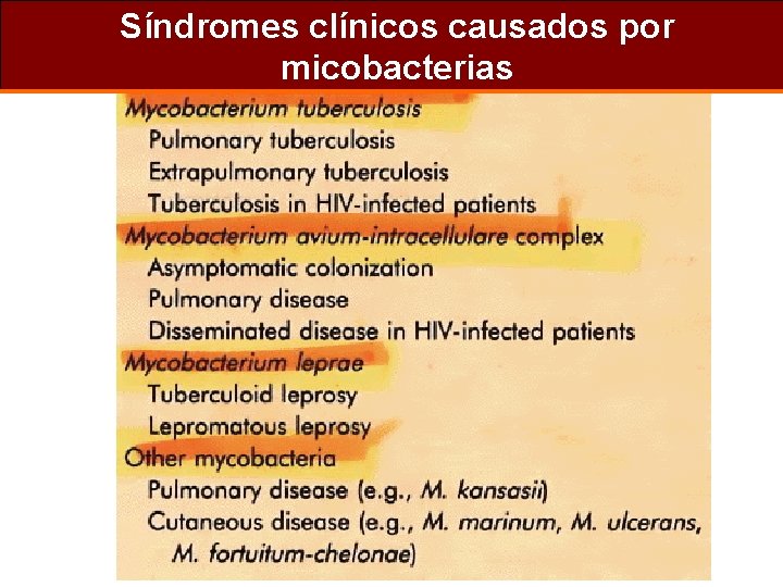 Síndromes clínicos causados por micobacterias 