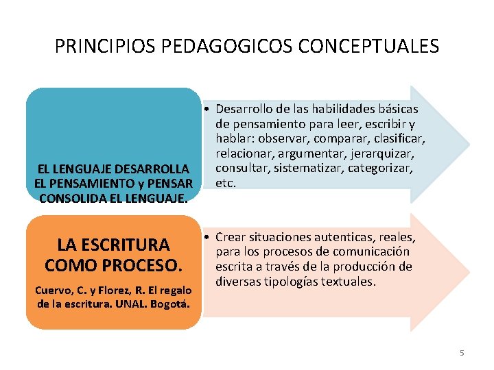 PRINCIPIOS PEDAGOGICOS CONCEPTUALES • Desarrollo de las habilidades básicas de pensamiento para leer, escribir