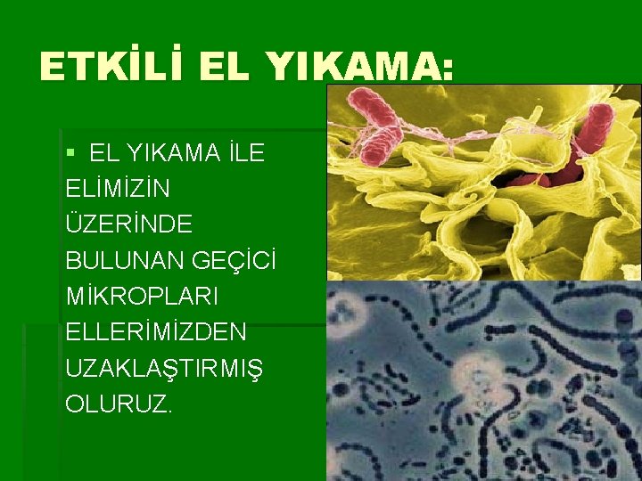 ETKİLİ EL YIKAMA: § EL YIKAMA İLE ELİMİZİN ÜZERİNDE BULUNAN GEÇİCİ MİKROPLARI ELLERİMİZDEN UZAKLAŞTIRMIŞ