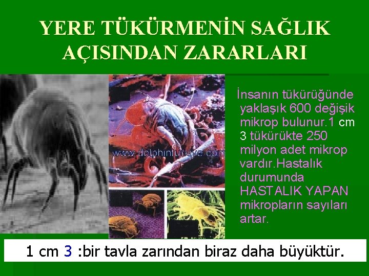 YERE TÜKÜRMENİN SAĞLIK AÇISINDAN ZARARLARI İnsanın tükürüğünde yaklaşık 600 değişik mikrop bulunur. 1 cm