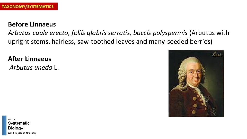 TAXONOMY/SYSTEMATICS Before Linnaeus Arbutus caule erecto, foliis glabris serratis, baccis polyspermis (Arbutus with upright