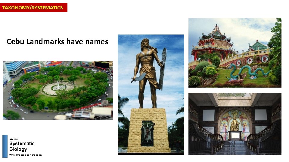 TAXONOMY/SYSTEMATICS Cebu Landmarks have names Bio 108 Systematic Biology With Emphasis on Taxonomy 