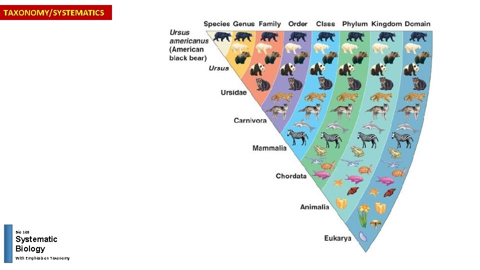 TAXONOMY/SYSTEMATICS Bio 108 Systematic Biology With Emphasis on Taxonomy 