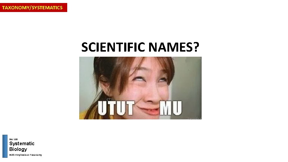 TAXONOMY/SYSTEMATICS SCIENTIFIC NAMES? Bio 108 Systematic Biology With Emphasis on Taxonomy 