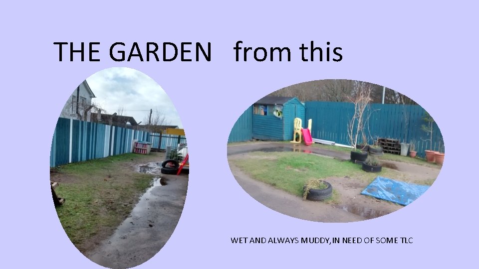 THE GARDEN from this WET AND ALWAYS MUDDY, IN NEED OF SOME TLC 