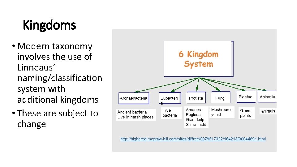 Kingdoms • Modern taxonomy involves the use of Linneaus’ naming/classification system with additional kingdoms