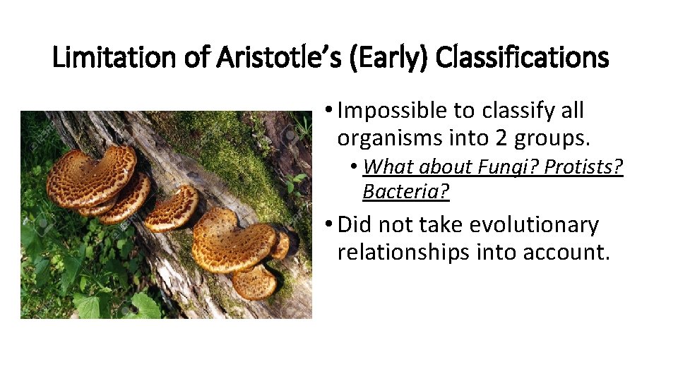 Limitation of Aristotle’s (Early) Classifications • Impossible to classify all organisms into 2 groups.