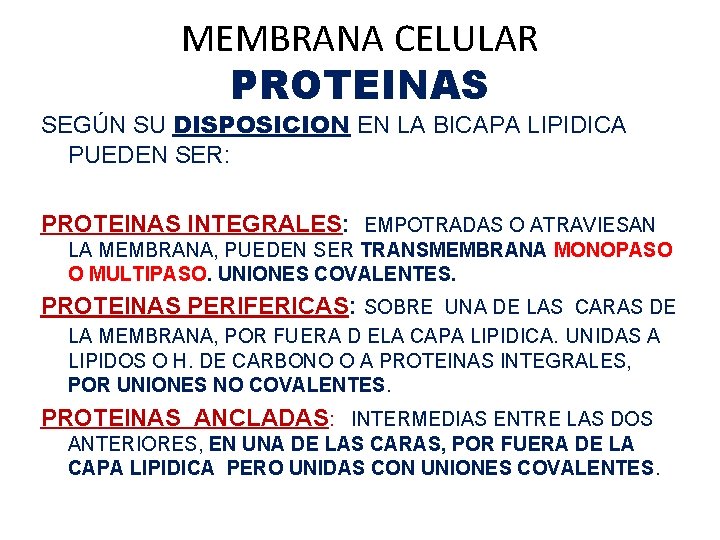 MEMBRANA CELULAR PROTEINAS SEGÚN SU DISPOSICION EN LA BICAPA LIPIDICA PUEDEN SER: PROTEINAS INTEGRALES: