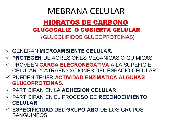 MEBRANA CELULAR HIDRATOS DE CARBONO GLUCOCALIZ O CUBIERTA CELULAR, (GLUCOLIPIDOS GLUCOPROTEINAS) ü GENERAN MICROAMBIENTE
