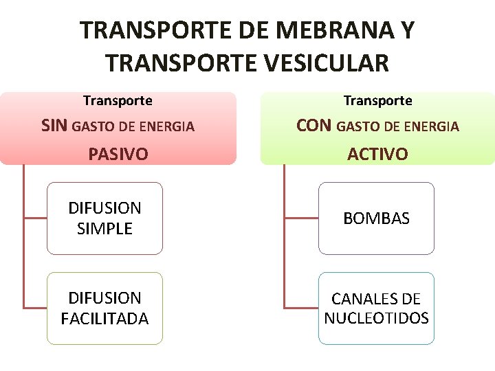 TRANSPORTE DE MEBRANA Y TRANSPORTE VESICULAR Transporte SIN GASTO DE ENERGIA CON GASTO DE