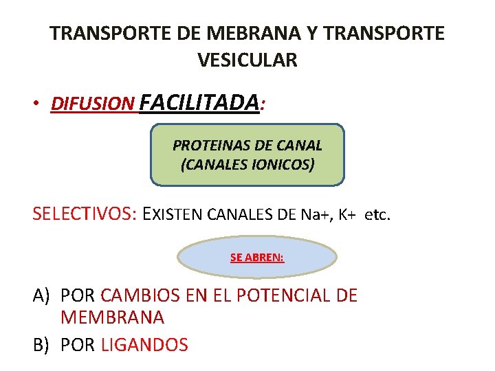 TRANSPORTE DE MEBRANA Y TRANSPORTE VESICULAR • DIFUSION FACILITADA: PROTEINAS DE CANAL (CANALES IONICOS)