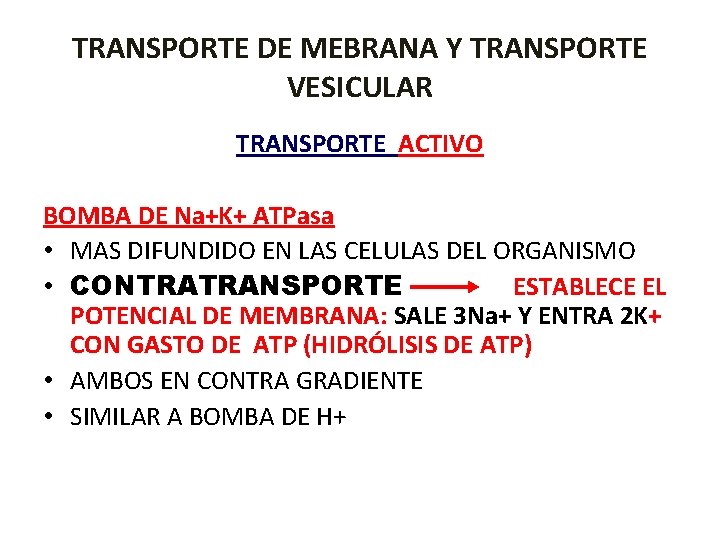 TRANSPORTE DE MEBRANA Y TRANSPORTE VESICULAR TRANSPORTE ACTIVO BOMBA DE Na+K+ ATPasa • MAS