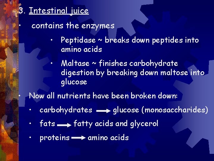 3. Intestinal juice • contains the enzymes • Peptidase ~ breaks down peptides into
