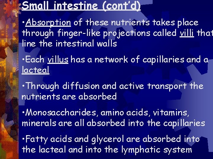 Small intestine (cont’d) • Absorption of these nutrients takes place through finger-like projections called
