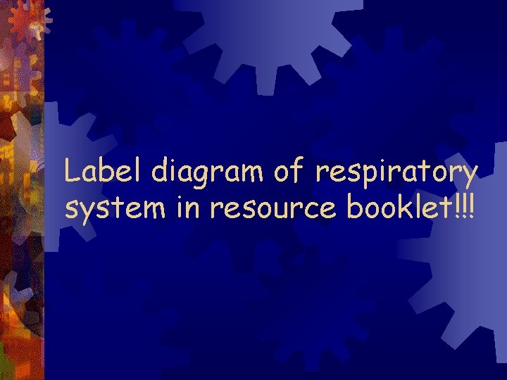 Label diagram of respiratory system in resource booklet!!! 