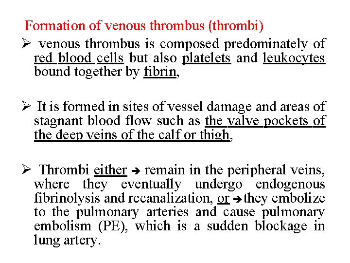 Formation of venous thrombus (thrombi) Ø venous thrombus is composed predominately of red blood