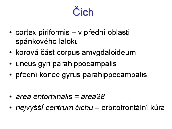 Čich • cortex piriformis – v přední oblasti spánkového laloku • korová část corpus