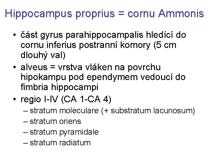 Hippocampus proprius = cornu Ammonis • část gyrus parahippocampalis hledící do cornu inferius postranní