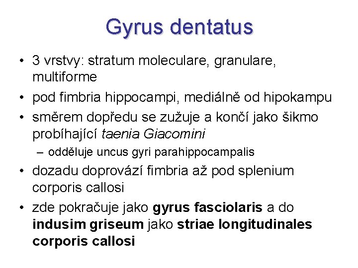 Gyrus dentatus • 3 vrstvy: stratum moleculare, granulare, multiforme • pod fimbria hippocampi, mediálně
