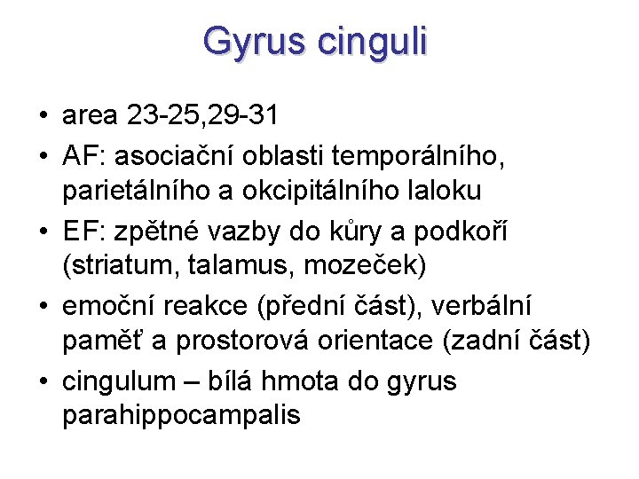 Gyrus cinguli • area 23 -25, 29 -31 • AF: asociační oblasti temporálního, parietálního