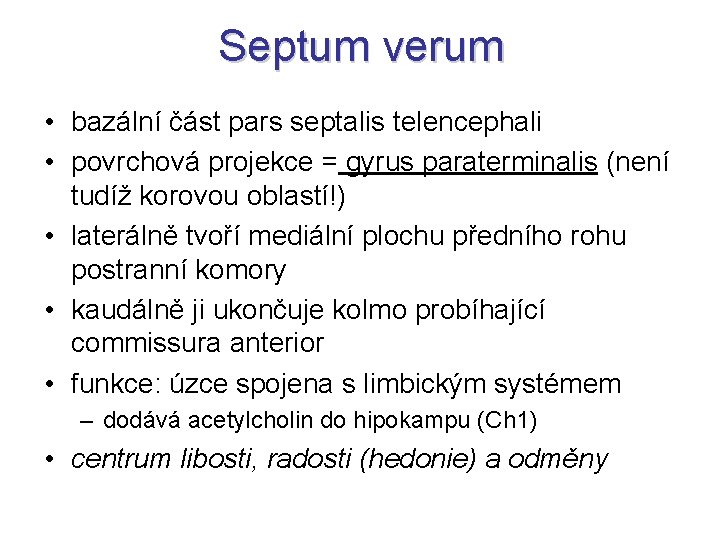Septum verum • bazální část pars septalis telencephali • povrchová projekce = gyrus paraterminalis
