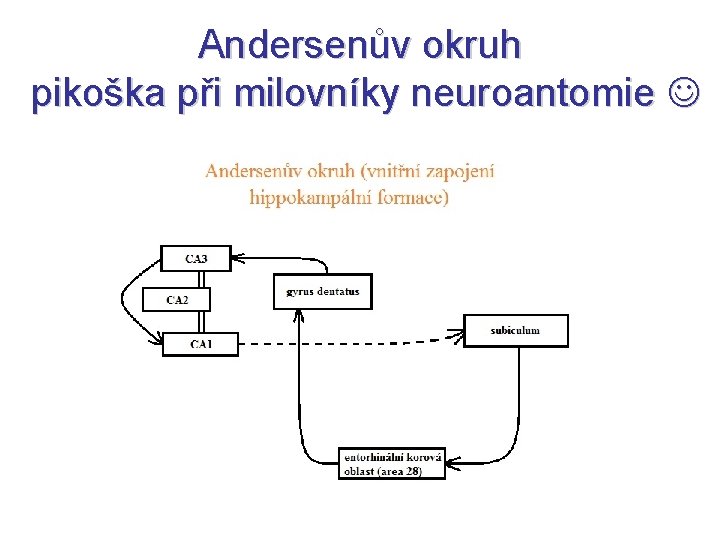 Andersenův okruh pikoška při milovníky neuroantomie 