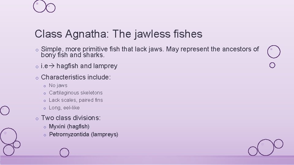Class Agnatha: The jawless fishes o Simple, more primitive fish that lack jaws. May