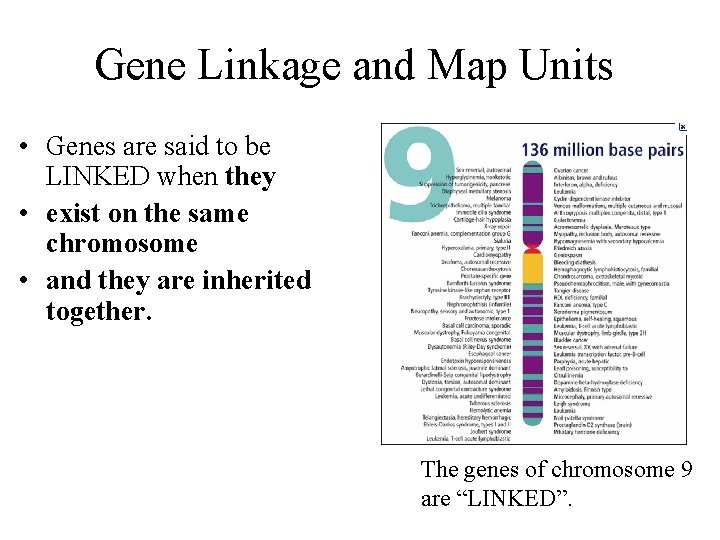 Gene Linkage and Map Units • Genes are said to be LINKED when they