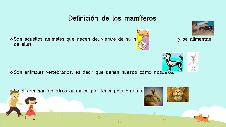 Definición de los mamíferos v Son aquellos animales que nacen del vientre de su