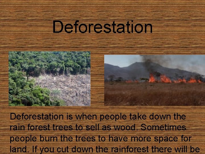 Deforestation is when people take down the rain forest trees to sell as wood.