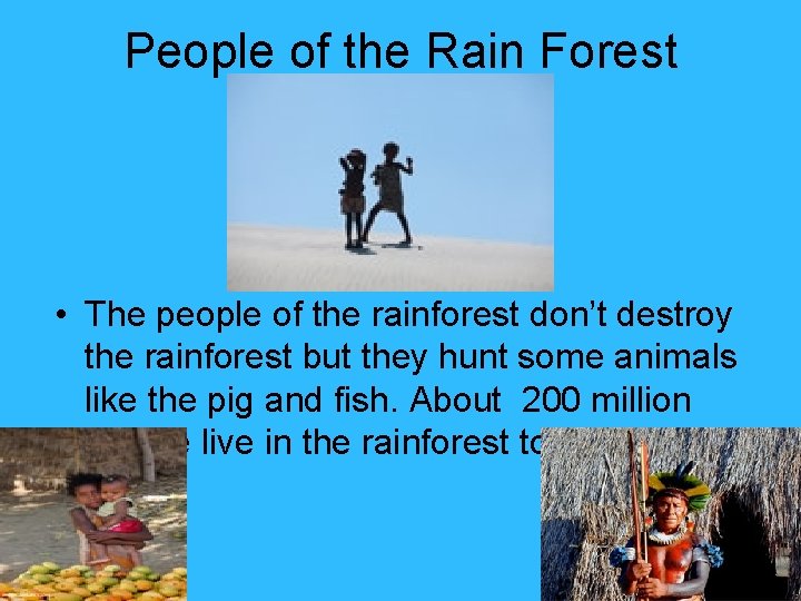People of the Rain Forest • The people of the rainforest don’t destroy the
