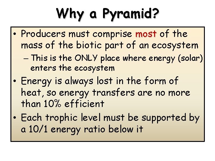 Why a Pyramid? • Producers must comprise most of the mass of the biotic