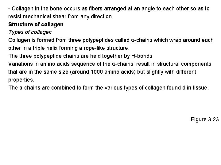 - Collagen in the bone occurs as fibers arranged at an angle to each