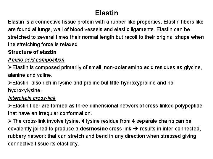 Elastin is a connective tissue protein with a rubber like properties. Elastin fibers like