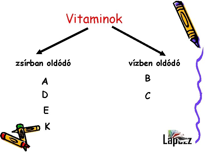 Vitaminok zsírban oldódó A D E K vízben oldódó B C 