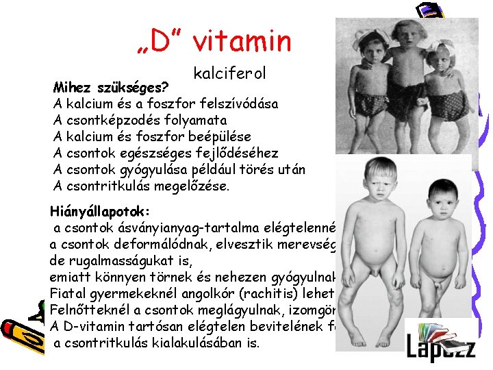 „D” vitamin kalciferol Mihez szükséges? A kalcium és a foszfor felszívódása A csontképzodés folyamata