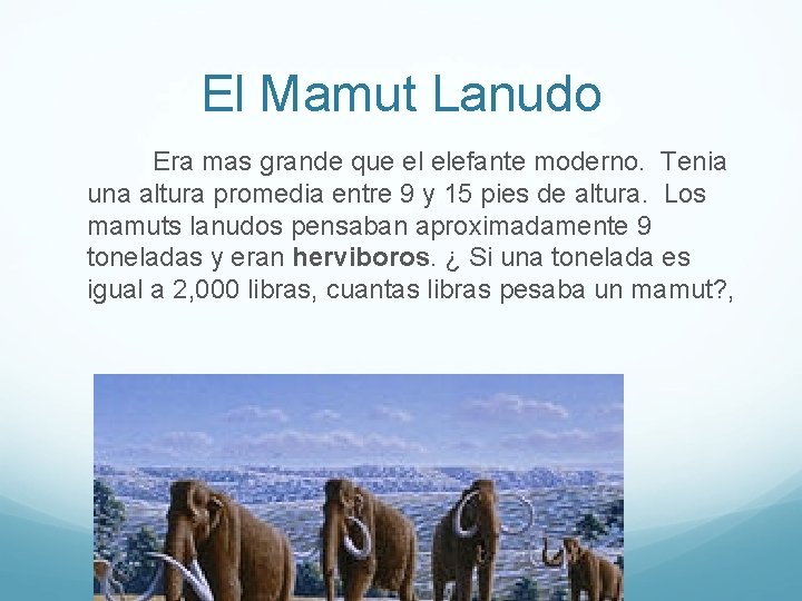 El Mamut Lanudo Era mas grande que el elefante moderno. Tenia una altura promedia