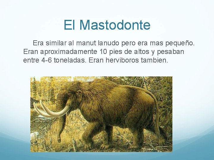 El Mastodonte Era similar al manut lanudo pero era mas pequeño. Eran aproximadamente 10