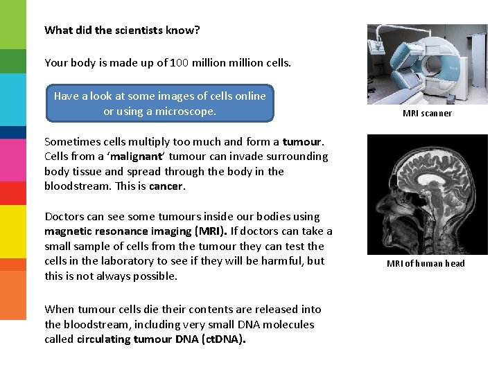 What did the scientists know? Your body is made up of 100 million cells.