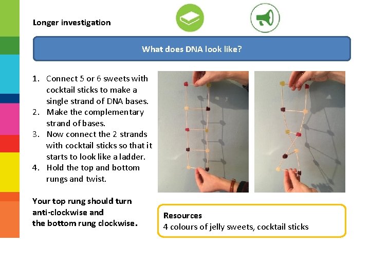 Longer investigation What does DNA look like? 1. Connect 5 or 6 sweets with