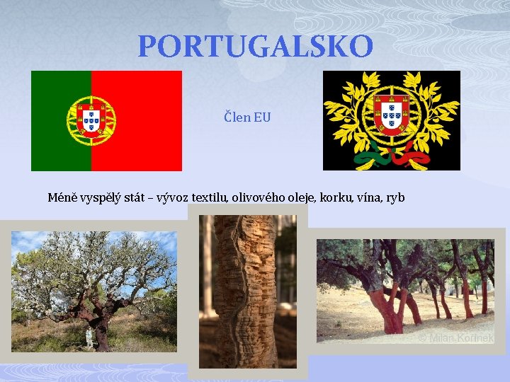 PORTUGALSKO Člen EU Méně vyspělý stát – vývoz textilu, olivového oleje, korku, vína, ryb