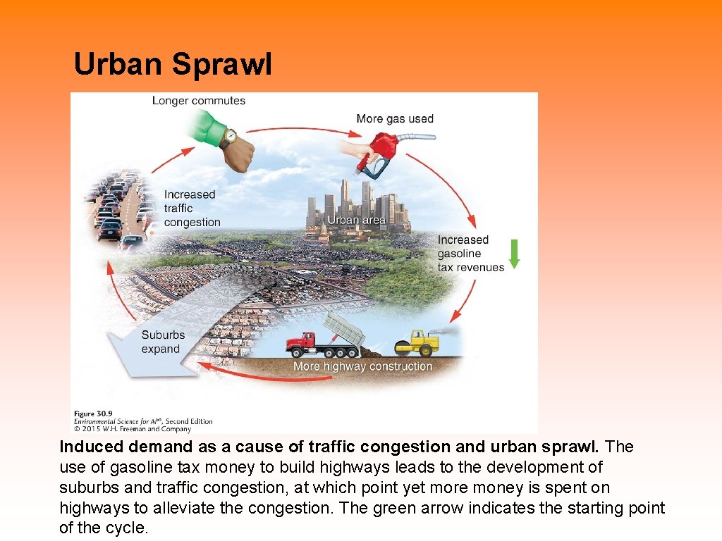 Urban Sprawl Induced demand as a cause of traffic congestion and urban sprawl. The