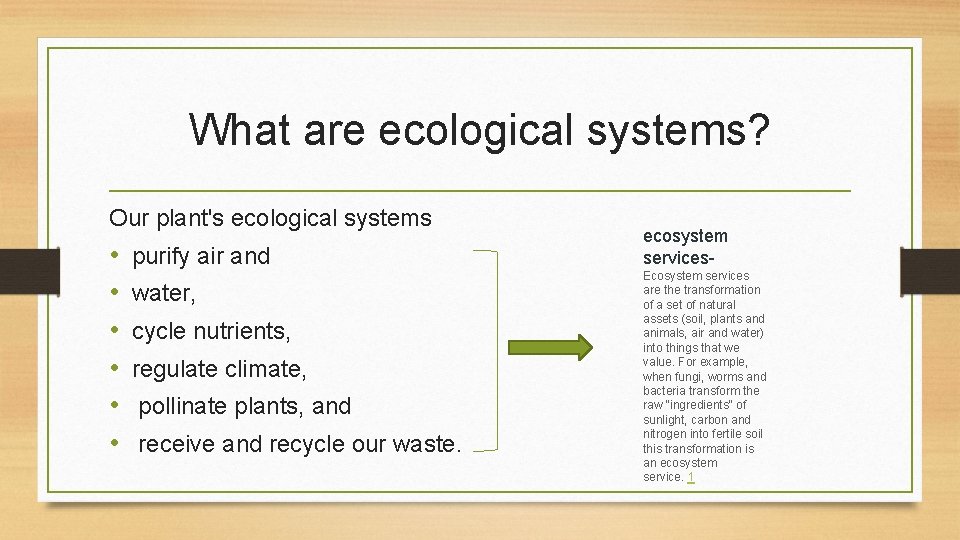 What are ecological systems? Our plant's ecological systems • • • purify air and