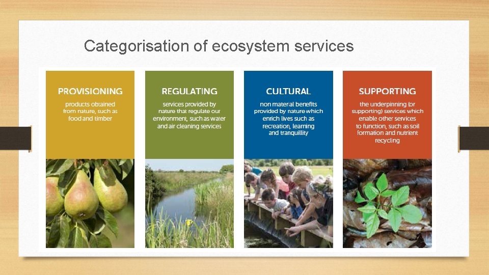 Categorisation of ecosystem services 